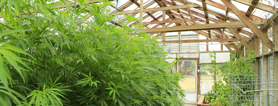 Security Solutions for Apartments in Jacksonville, FL